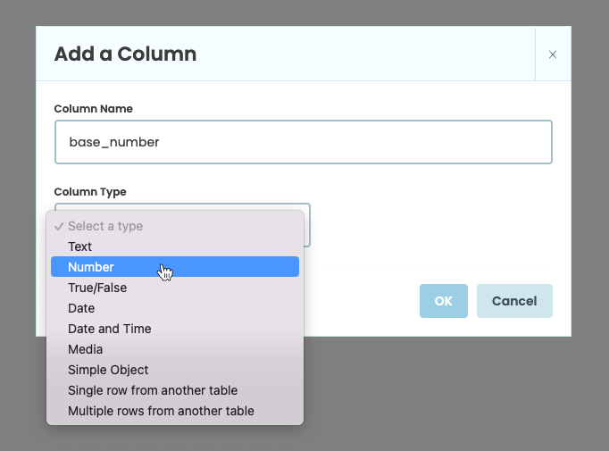 A Data Table with the New Column dropdown open