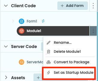 Some Forms in the App Browser; one called Overview has a lightning bolt next to it. The dropdown menu next to its name is open with 'Set as startup Form' circled
