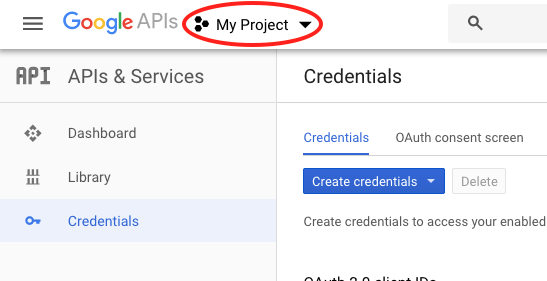 The top bar of the Google Developer Console, with the project selection dropdown circled