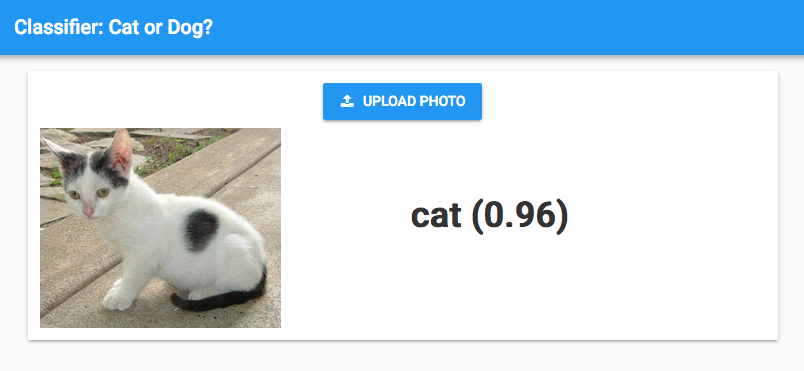 An app containing an Upload Photo button, an image of a cat, and the text 'cat (0.96)'