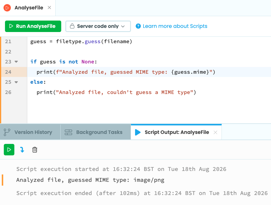 Script output showing the detected MIME type